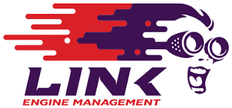 link logo
