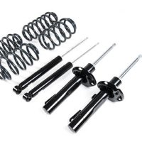 Racingline Lowering Spring Kit