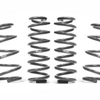 Racingline Performance Lowering Spring Kit Audi RS3 8V Saloon